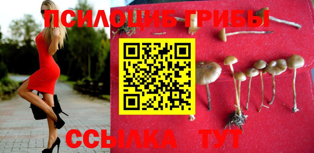 Псилоцибиновые грибы ЛСД Заволжье