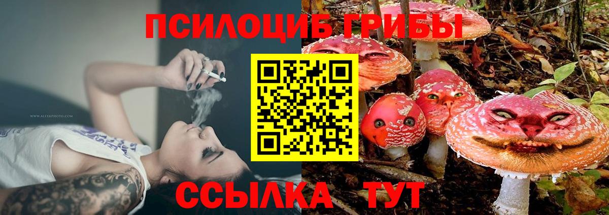 Заволжье  Псилоцибиновые грибы прущие грибы  Псилоцибиновые грибы прущие грибы  Вход с VPN 