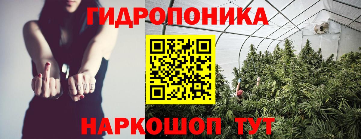 Каннабис Amnesia Заволжье